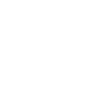 Fortnite icon