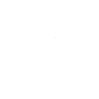 Paladins icon